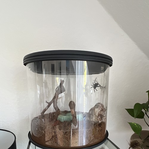 Rundes kunststoff terrarium - rundes, kunststoff-terrarium