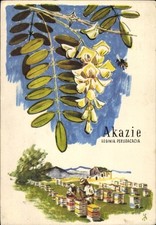 Künstler Ak Bienenzucht in