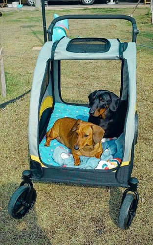 Hundewagen hundebuggy - hundewagen,