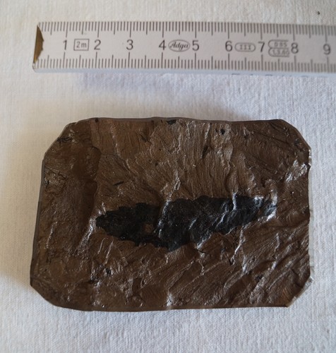 Blatt quartär pleistozän - -,