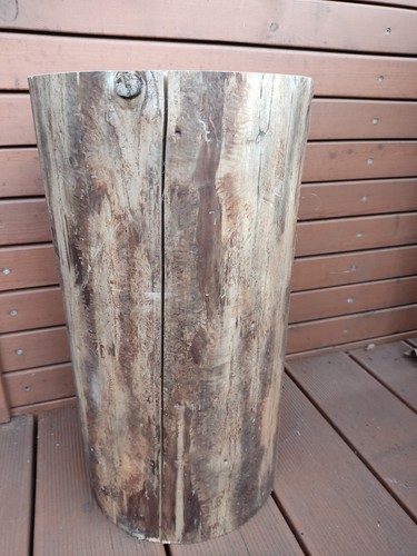 Grossen xxxl holzstamm - xxxl,
