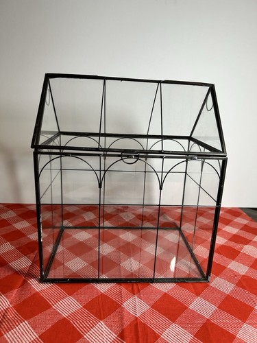 Glass terrarium plant - terrarium,