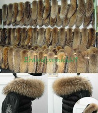 2025 Natur Waschbär Kragen