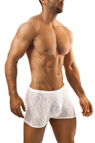 Joe snyder boxer - joe,