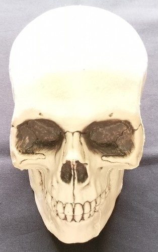 Totenkopf totenschädel - +++,