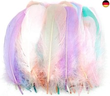 TYEQWT Federn zum Basteln, 400