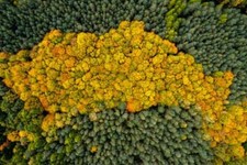 Wandbild: Blick von oben auf