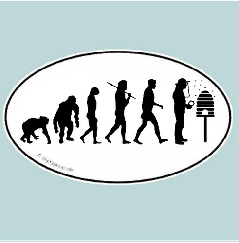 Imker bienen bee - bienen, evolution