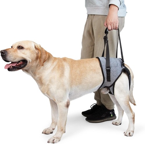 Hundegeschirr mit tragegurt - hundegeschirr,