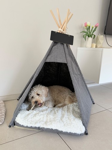 Tipi zelt fur katzen und - fur, hunde