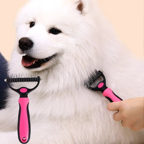 Professionelle haustier hund - professionelle,