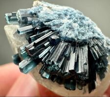 133 ct. Vollständige seltene