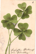 AK  -1906 - Neujahr - Drei Kleeblatt-Stengel- Verl.: Martin Rommel Stuttgsrt 325