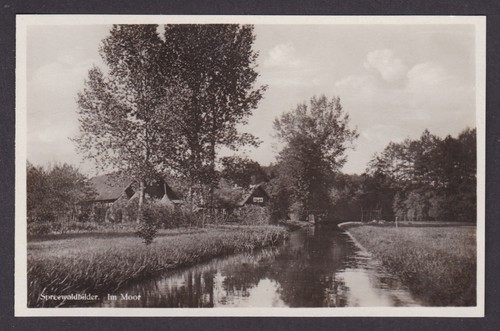 Vintage postcard spreewald - postcard,