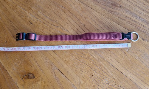 Wolters set aus hundehalsband - wolters,
