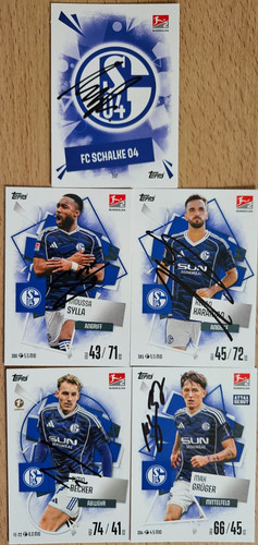 Match attax fc schalke - 25/26,