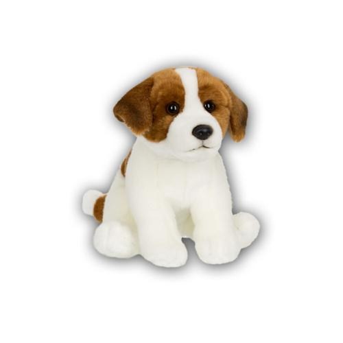 Anna club jack russel - anna,