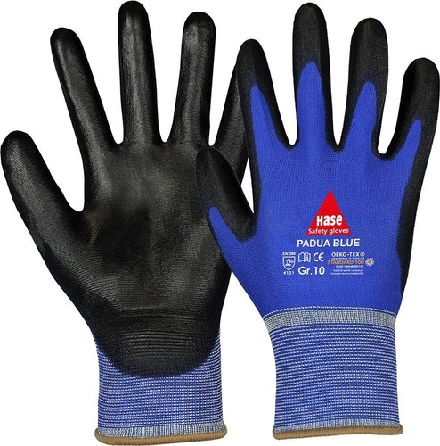 Hase padua blue - padua,