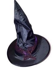 Hexenhut mit lila-schillerndem
