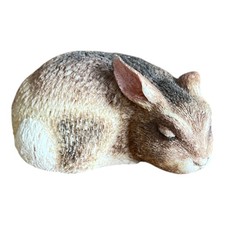 Small World Eastern Cottontail