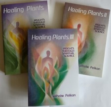 Healing plants bundle - plants,