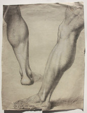 Muskulöses männliches Bein