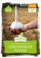 FLORTUS XXL