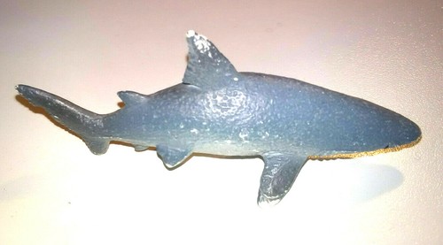 Haifisch hai meerestier sehr - hai,