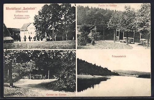 Buntenbock harz kurhaus - ak, /harz,