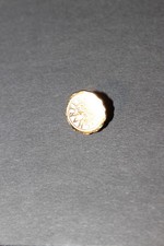 Polizei Großbritannien PIN