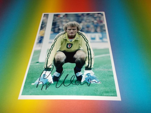 Sepp maier dfb - sepp, weltmeister