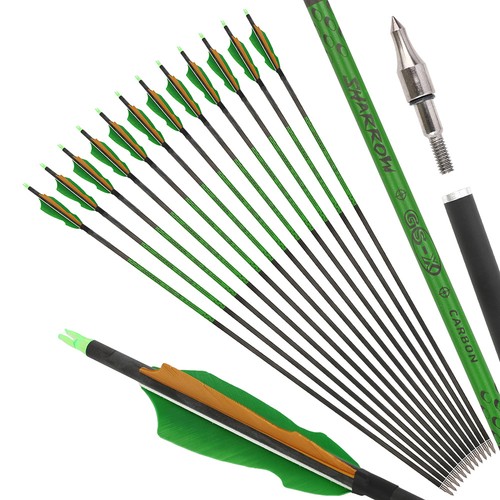 Zoll pure carbonpfeile - 30,