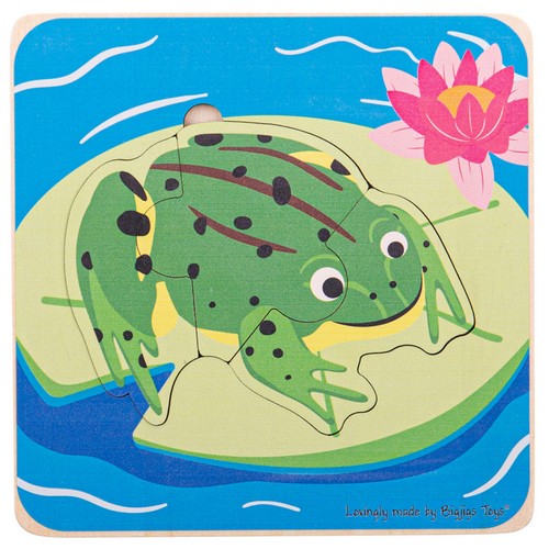 Lifecycle lagen puzzle - lagen,