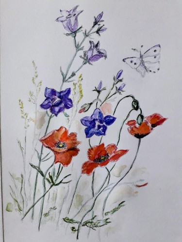 Wunderschönes aquarelle - wunderschönes,