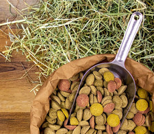 deuka deukavallo Leckerli 2 kg Pferdeleckerli Pferdefutter Belohnung Mischung