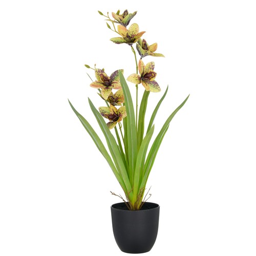 Kunstpflanze cymbidium farbe - kunstpflanze, cymbidium,