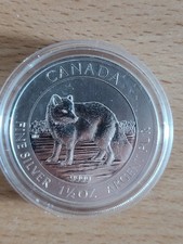 Kanada Polarfuchs - 1,5 oz