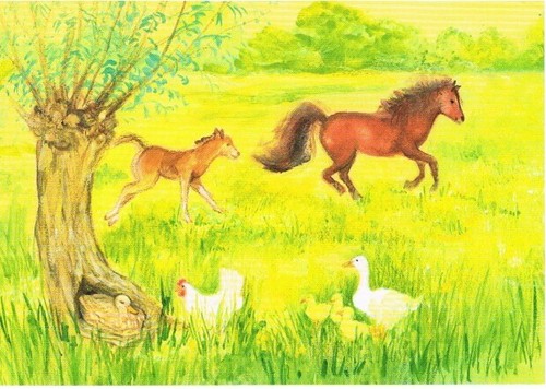 Postkarte karte tiere b - postkarte,,