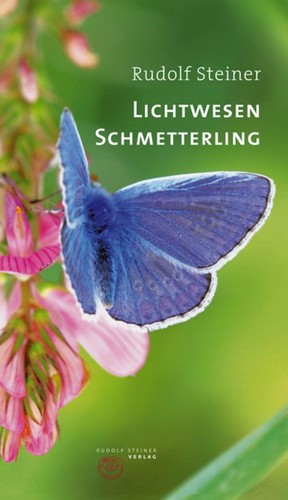 Lichtwesen schmetterling - lichtwesen, ~