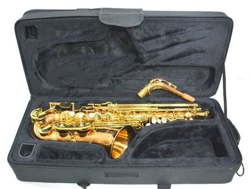 Yanagisawa wo2 altsaxophon - yanagisawa,