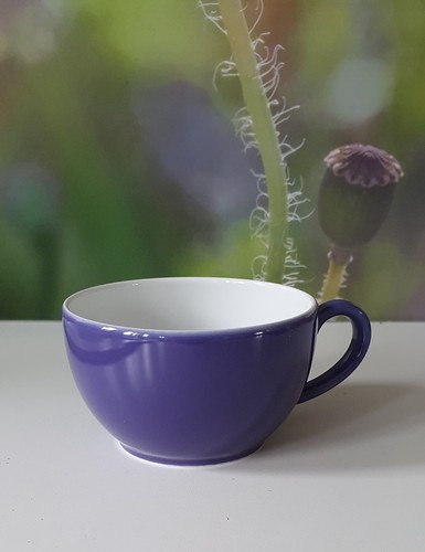 Dibbern solid color cappuccino - solid,