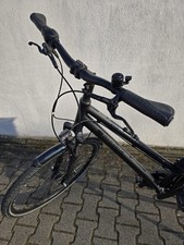 Pegasus Savona SL Disc