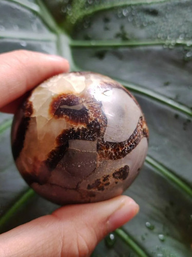 Septarie magische edelstein - ~,