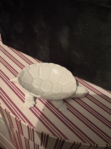Kpm berlin schildkröte - berlin,