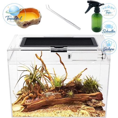 Mini terrarium komplettset - mini,