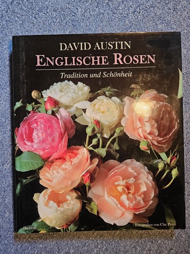 Englische rosen tradition - englische,