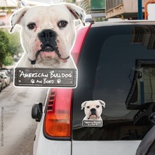 American Bulldog an Bord