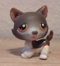 Hasbro original LPS Littlest Pet Shop Hund Jack Russell Chihuahua
