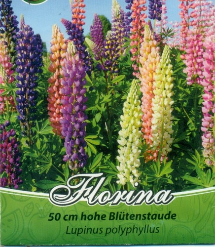 Pflanze lupinen lupinus - 🌼,