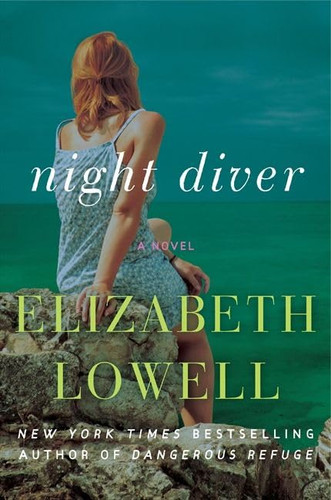Night diver paperback new - diver,